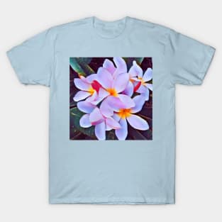 Frangipane T-Shirt